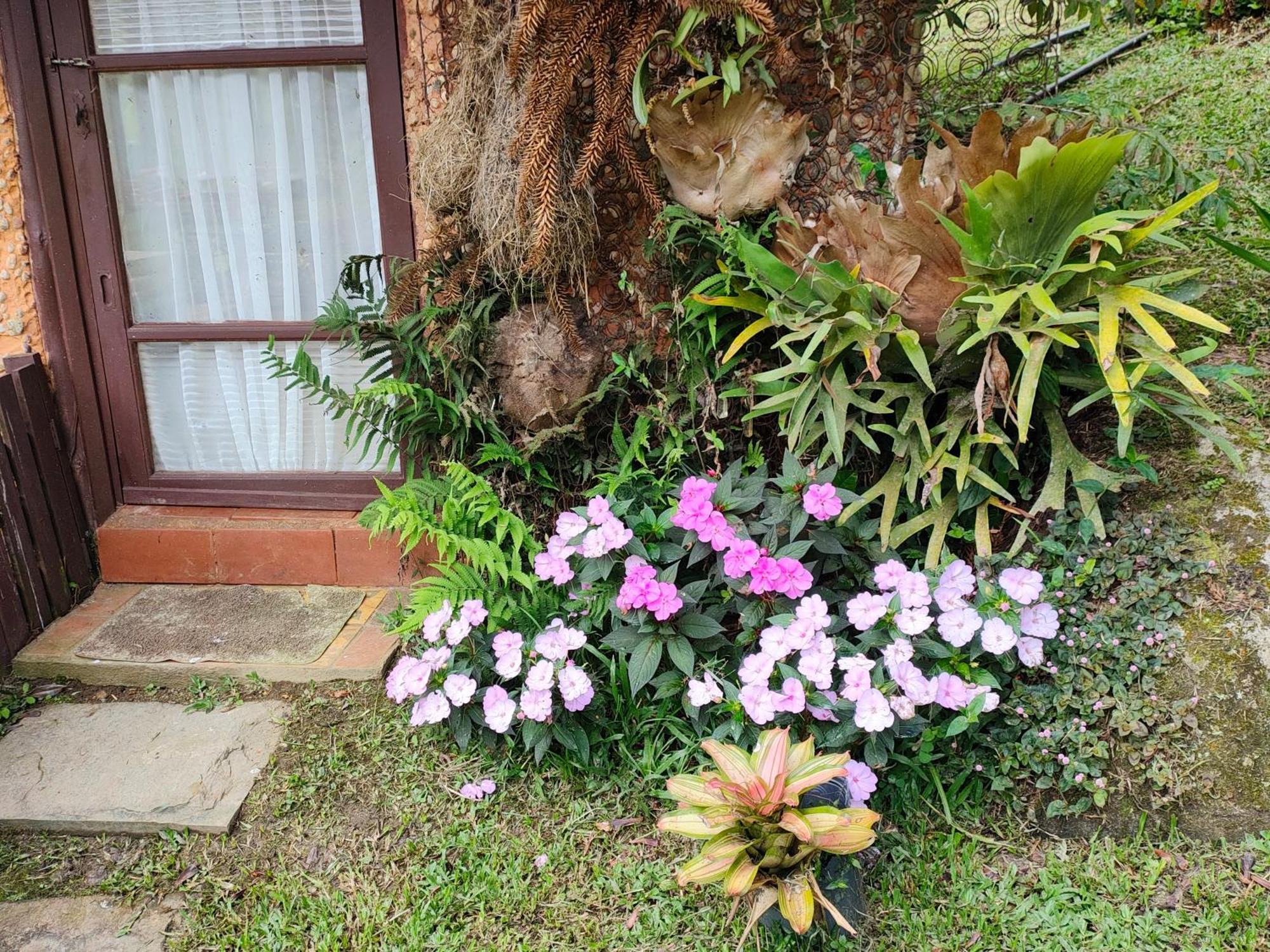 ホテル Sitio Mae Terra Afonso  エクステリア 写真